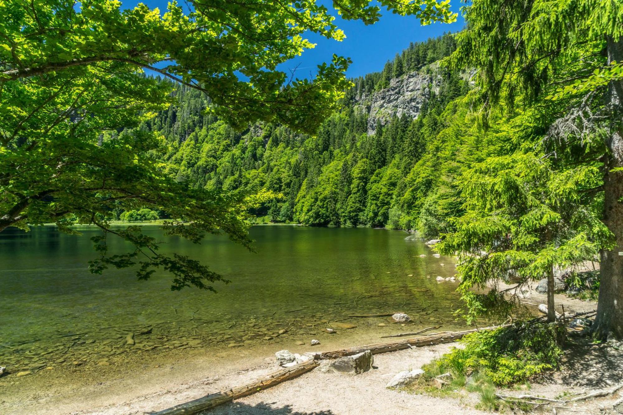 Ferienhaus Schwarzwaldstern, Todtnau, 3 Schlafzimmer Zewnętrze zdjęcie